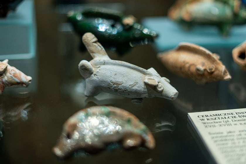 Wystawa Artificalia, naturalia, exotica w Muzeum Archeologicznym we Wrocławiu
